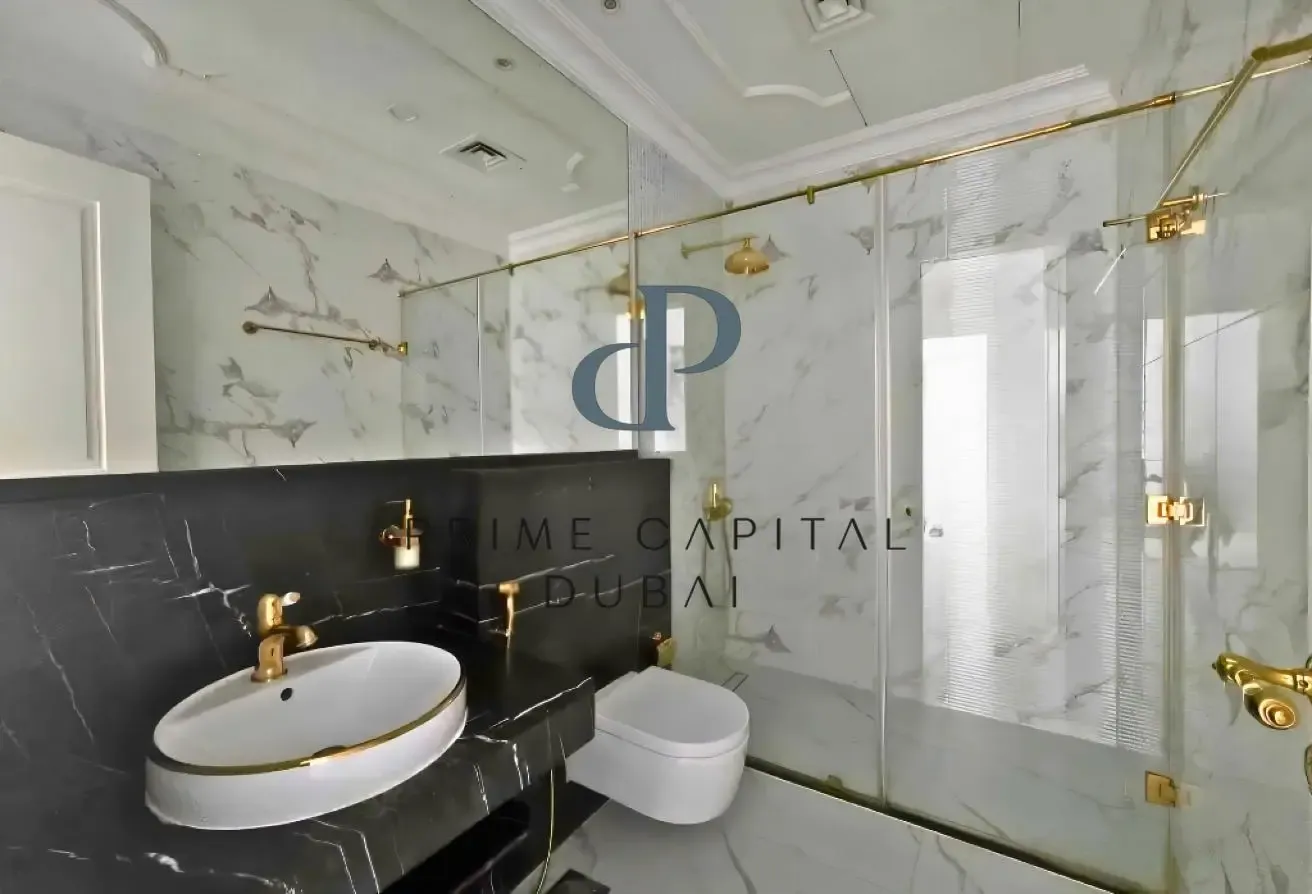 Fully Furnished Studio |Spacious |Vacant and Ready