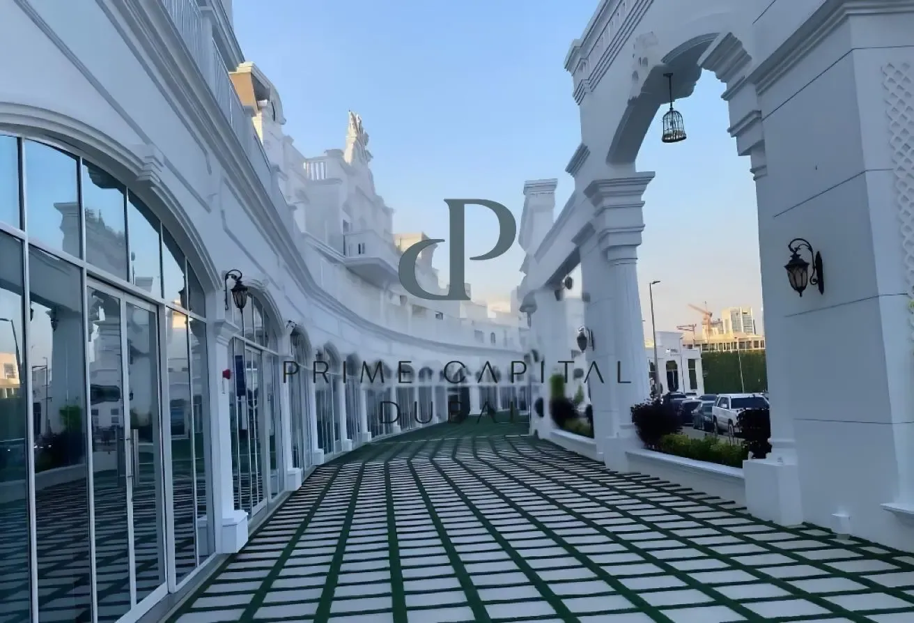 Fully Furnished Studio |Spacious |Vacant and Ready