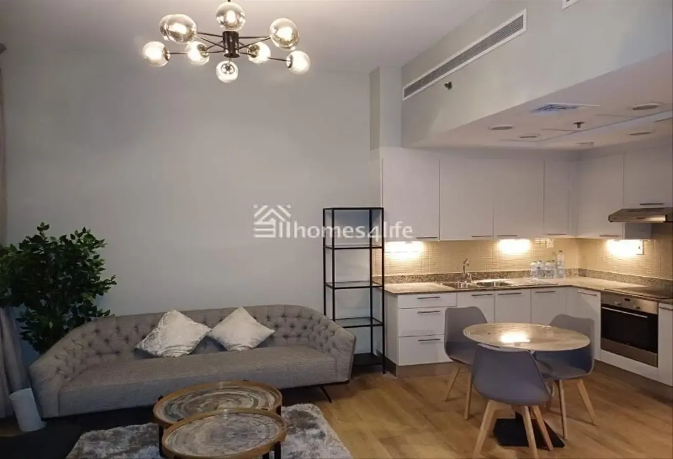 Large layout | Modern Studio | Fully Upgraded
