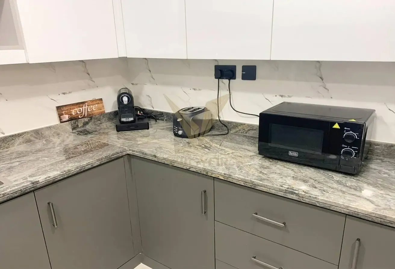 Premium Fully Furnished - Upgraded 1BR