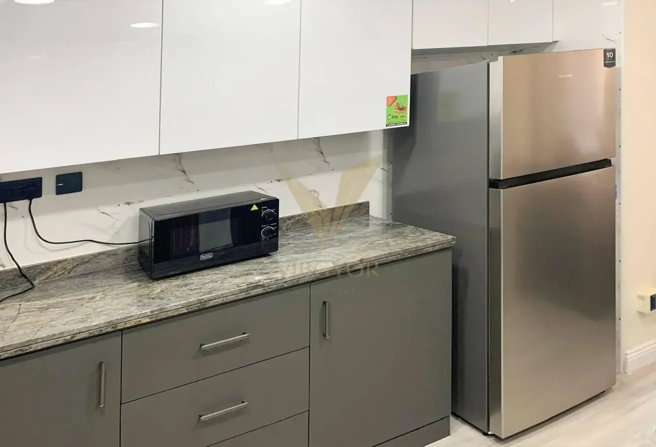 Premium Fully Furnished - Upgraded 1BR